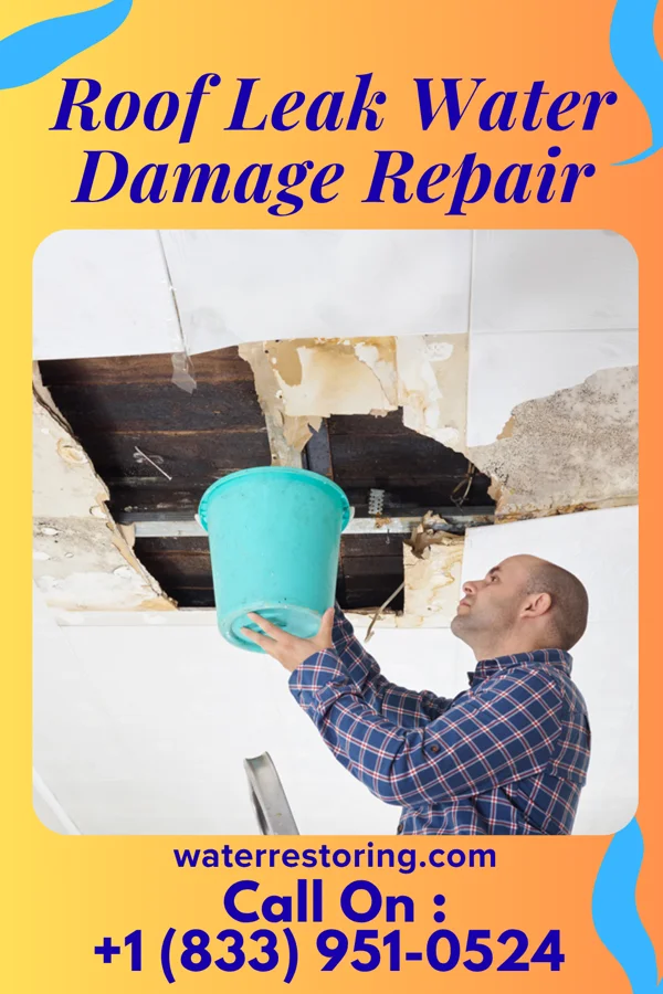 Roof Leak Water Damage Repair in Wisconsin Rapids, WI